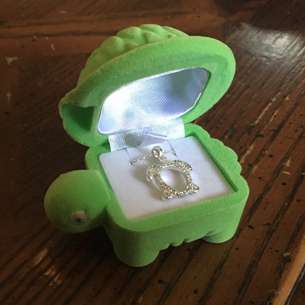 Turtle necklace